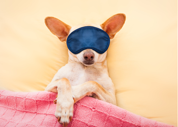 Data science team can now get to sleep