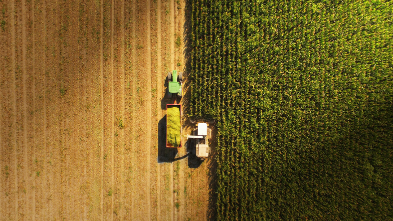 Image credit: iStockphoto/saverio blasi