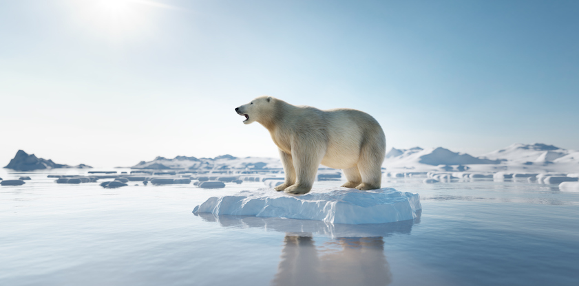 Image credit: iStockphoto/NiseriN