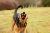 AI hackers are off leash