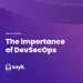 The Importance of DevSecOps