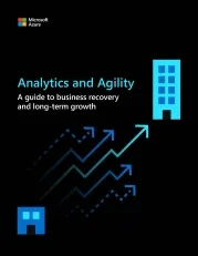 Analytics and Agility 