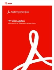 Case Study: “K” Line Logistics