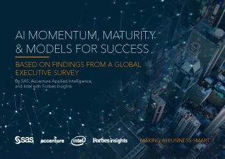 Practical Insights into AI Momentum, Maturity and Models 