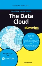 The Data Cloud for Dummies