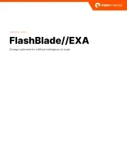 Pure Storage Flashblade EXA