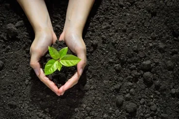 Image credit: iStockphoto/amenic181
