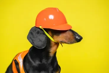 Image credit: iStockphoto/Ирина Мещерякова