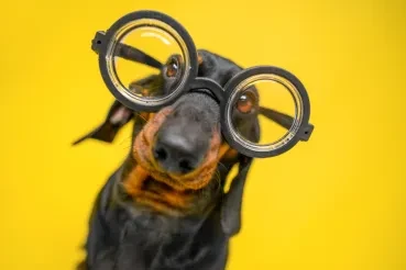 Image credit: iStockphoto/Ирина Мещерякова