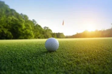 Image credit: iStockphoto/Somchai Sookkasem