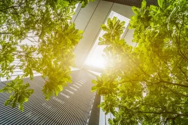 5 Strategies To Make Workspaces Greener and More Sustainable