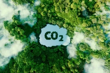 After COP26, Why Supply Chain Leaders Must Step up to Reduce Emissions