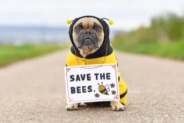 AI Comes To Bee Rescue