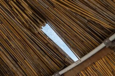 Bamboo Ceiling for Asian Leaders Remains Intact