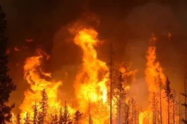 Blame Digital Chaos for Making Bushfire Nightmare Worse