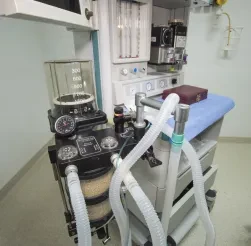 Carmakers vs. the Vacuum King: Product Innovation in the Time of COVID-19
