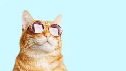 CDOs Need a New WFH Mindset