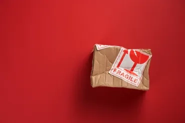 ChatGPT: Please Handle With Care
