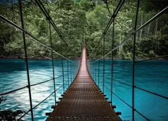 Crossing the Digital Bridge with China’s Fintech Giants