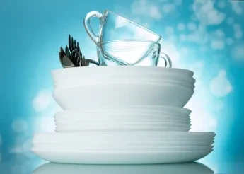 Dishwashing Disrupted in Singapore
