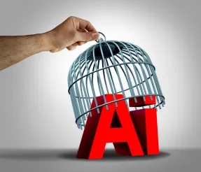 Explaining Responsible AI: Let the Real Conversation Begin 