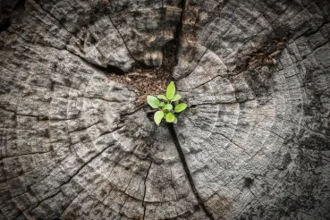 GitLab Partners With Google Cloud To Launch Cloud Seed
