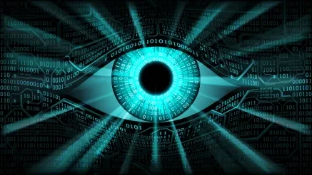 Has eGovernment Become Another Word for Big Brother Surveillance?