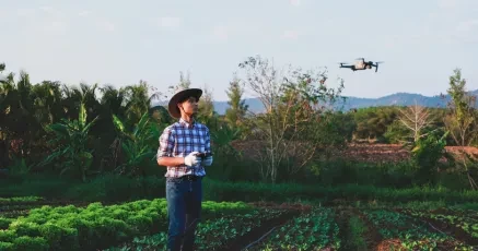 How Asia Farms Are Digitalizing
