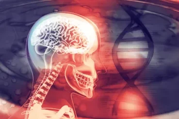 Interconnection: The Heart of Smart Healthcare