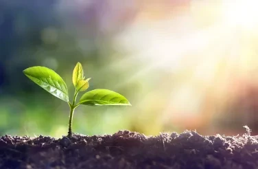 Laying the Groundwork for the Next Wave of Growth