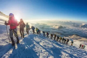 Leading Successful Data Science Teams