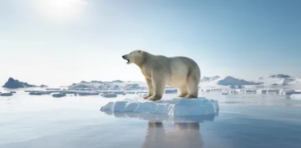 Making AI an Ally for Fighting Climate Change