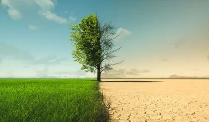Maneuvering the Global Economic Crisis: Top Priorities for CDOs in 2023