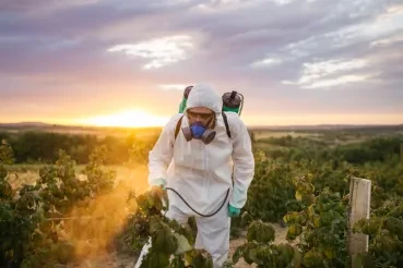 NZ Uses AI to Win Crop Wars
