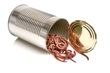 Open Banking Opens New Can of Worms