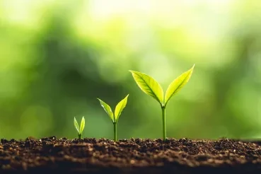 Scaling a Data Platform for Growth