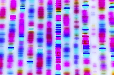 Speeding Up Science With Modular HPC, AI-as-a-Service