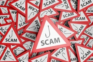 The Scamdemic: Can Machine Learning Turn the Tide?