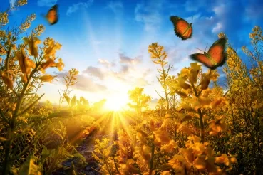 Transforming Your Business Through Innovation 