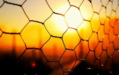 Understanding the Data Mesh