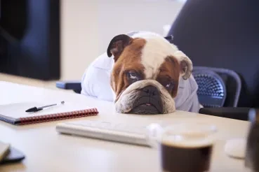 Why Your Training May Be a Waste of Time