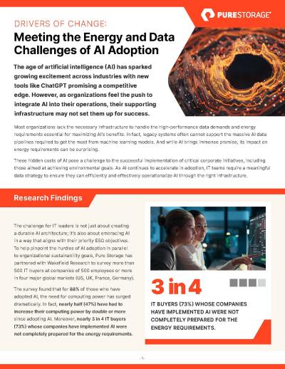 Drivers of Change: Meeting the Energy and Data Challenges of AI Adoption