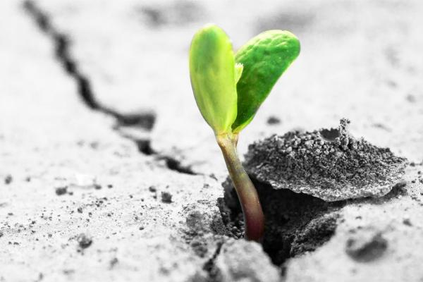 Overcoming the Innovation Gap in Banking 