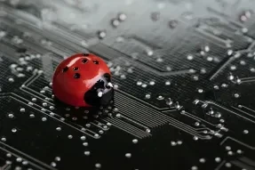 How Organizations Can Protect Modern Software Against Hackers