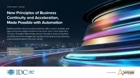 New Principles of Business Continuity and Acceleration