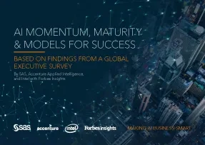 Practical Insights into AI Momentum, Maturity and Models