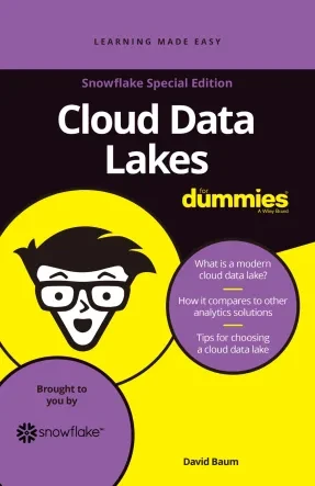 Understanding Cloud Data Lakes
