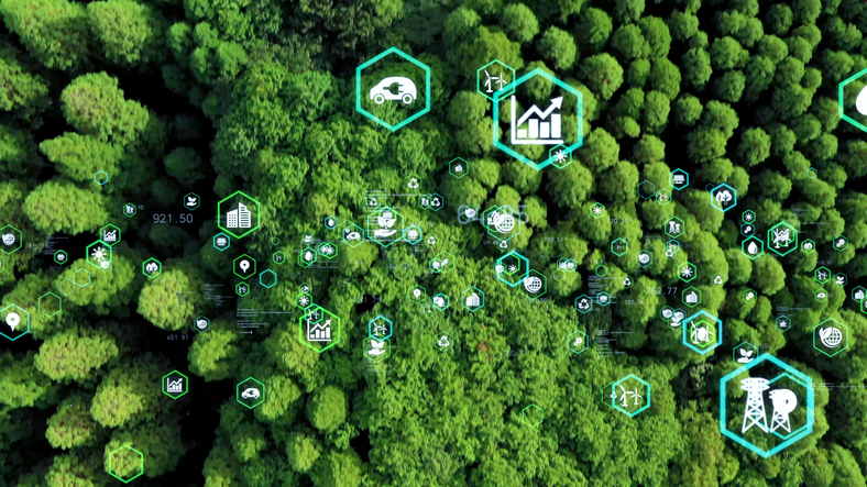 Image credit: iStockphoto/metamorworks